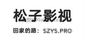 松子 v1.1.0 祝您生活愉快 